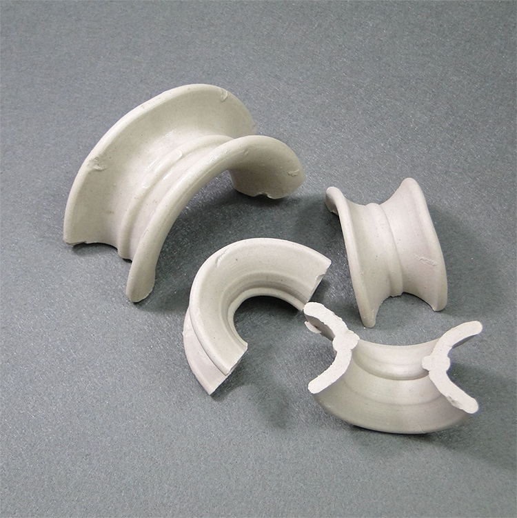 Differences between Cascade Mini-Rings and Intalox saddle ring